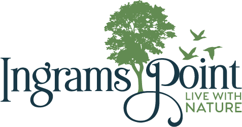 Ingrams Point Logo